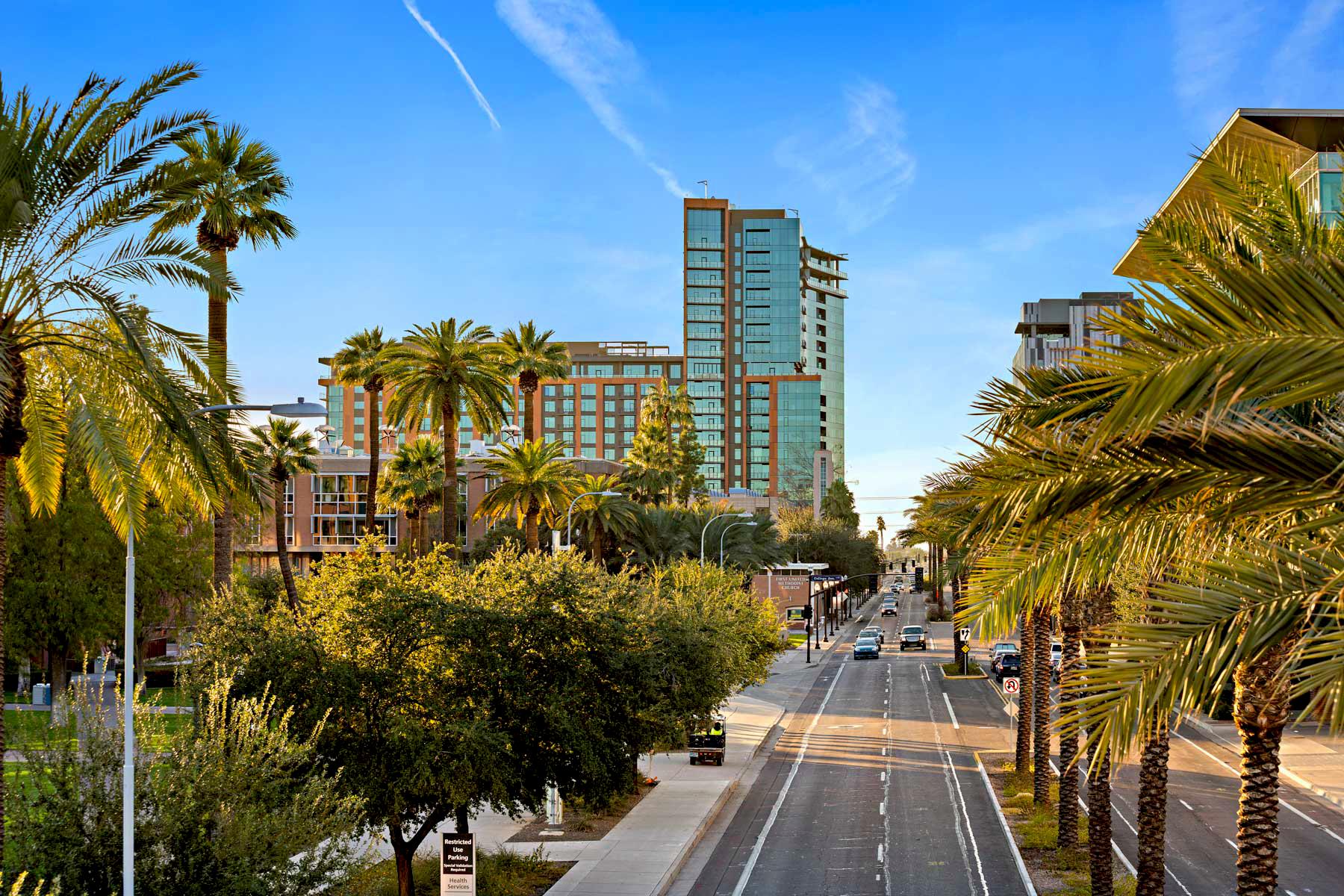 Aerial street view of the Mirabella at ASU building with a variety of palm trees and greenery.